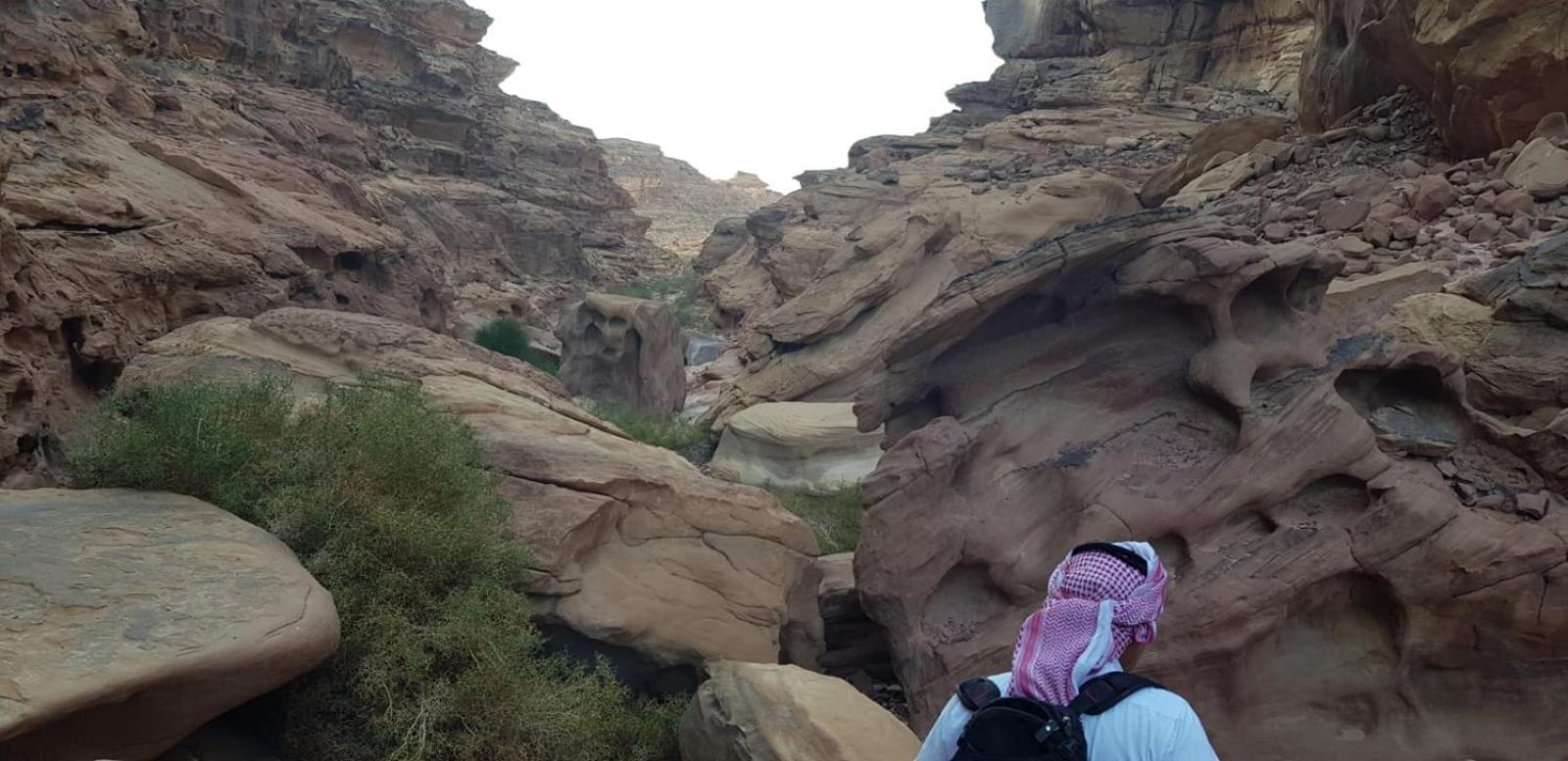 Bedouin Stylelife Camp Otel Ram Vadisi Dış mekan fotoğraf