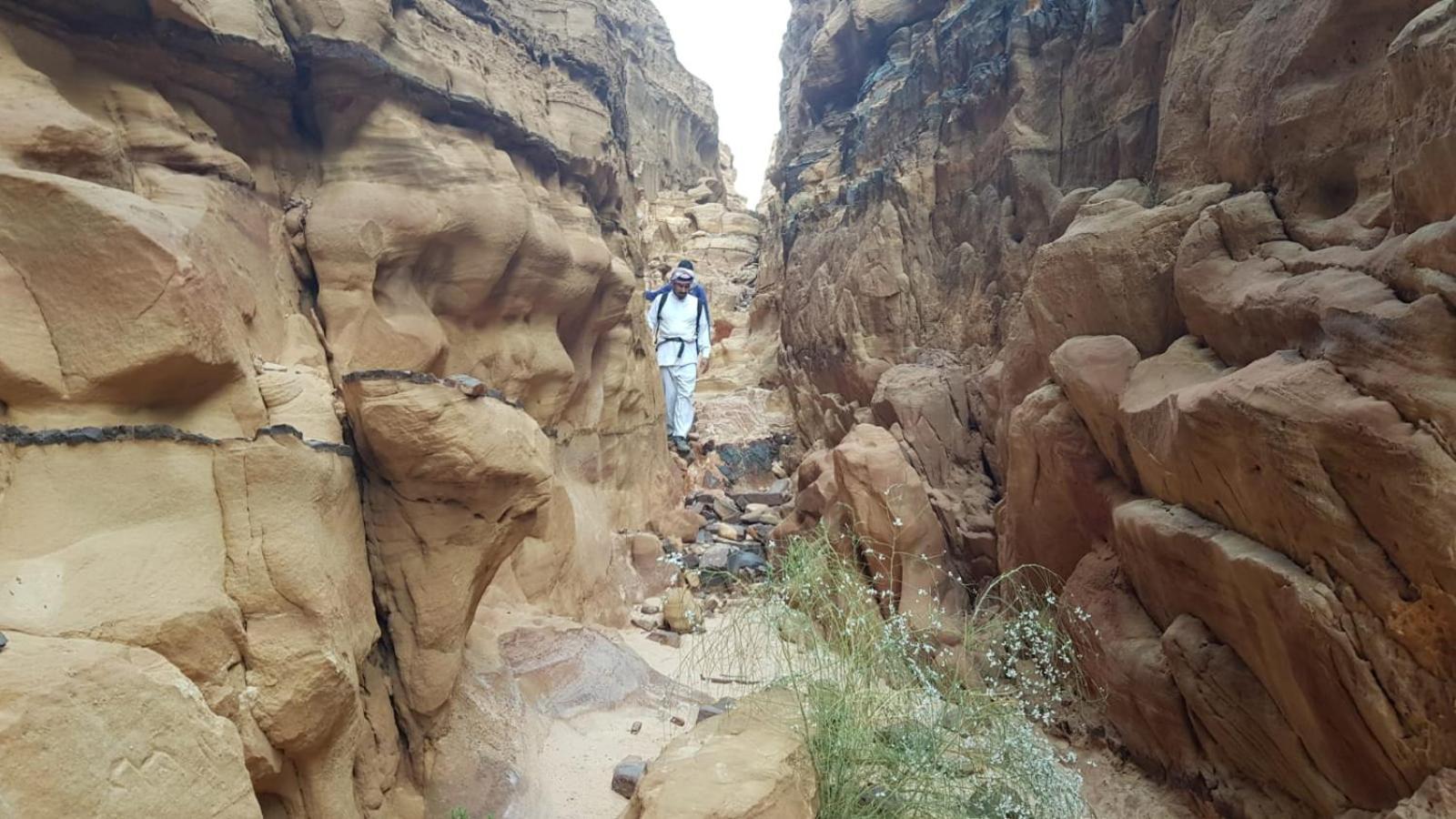 Bedouin Stylelife Camp Otel Ram Vadisi Dış mekan fotoğraf
